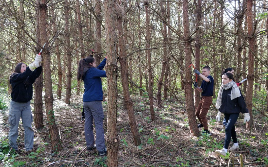 Raus aus dem Klassenzimmer- rein in den Wald(KlimaRaum)!