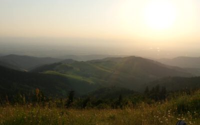 3 1/2 Freiburger Berggeschichten